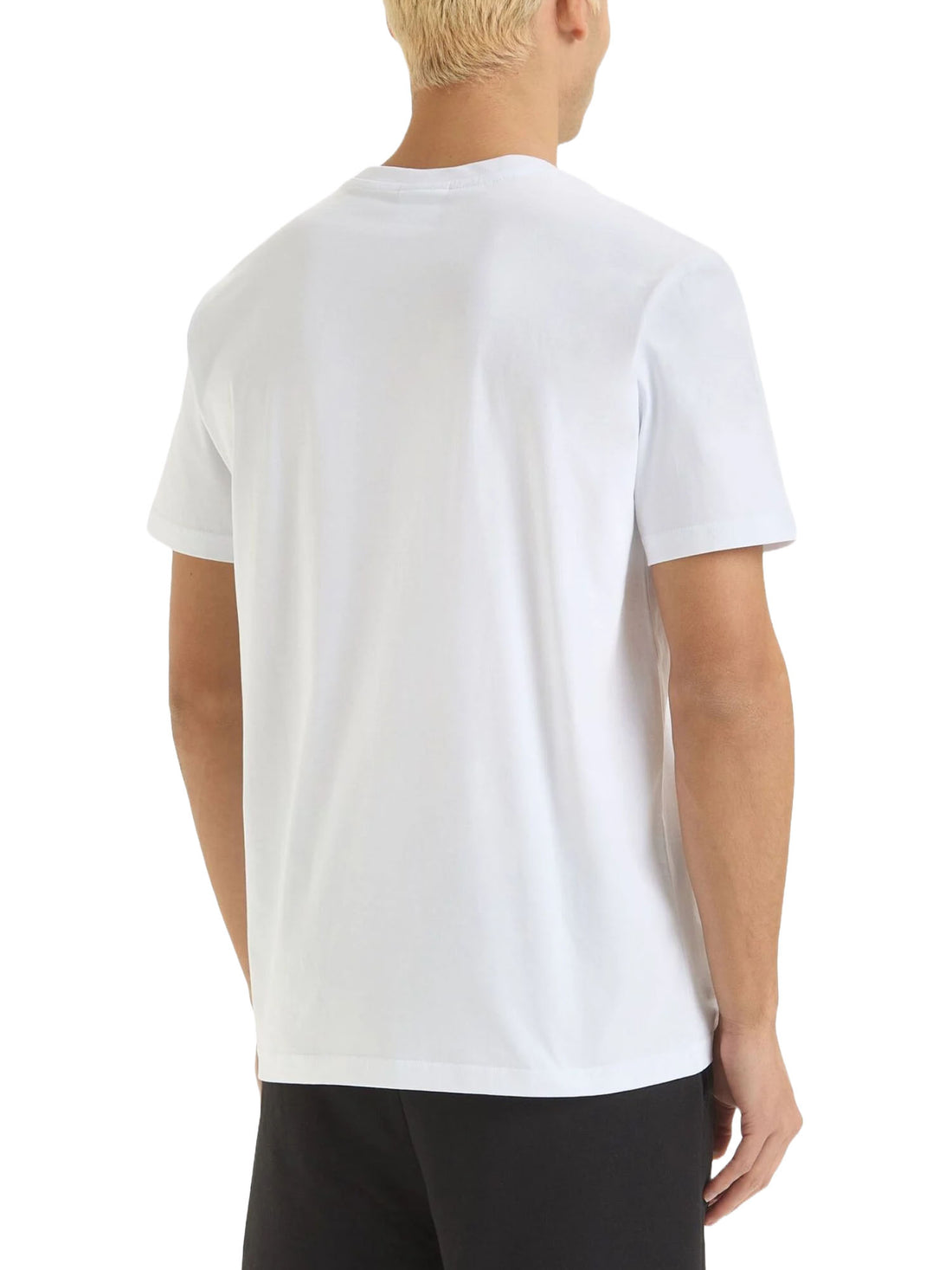 T-shirt Bianco Verde Diadora
